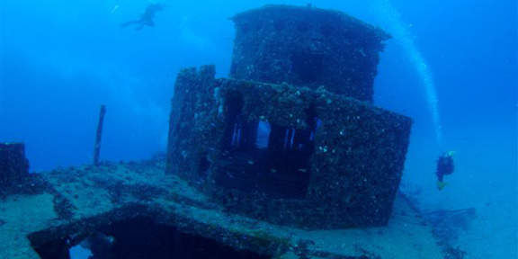 Florida Ocean Diving